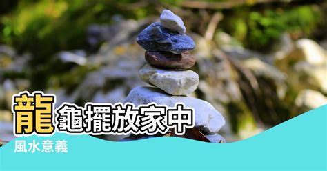 龍龜破損|供養禁忌和注意事項 